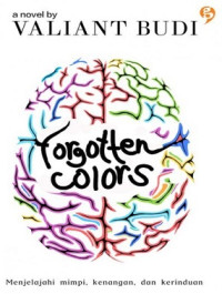 Image of Forgotten Colors