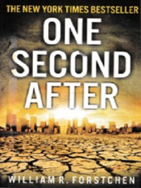 Image of One Second After