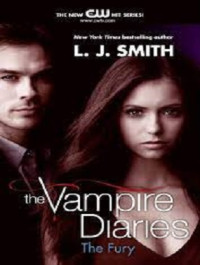 Image of The Vampire Diaries : the fury